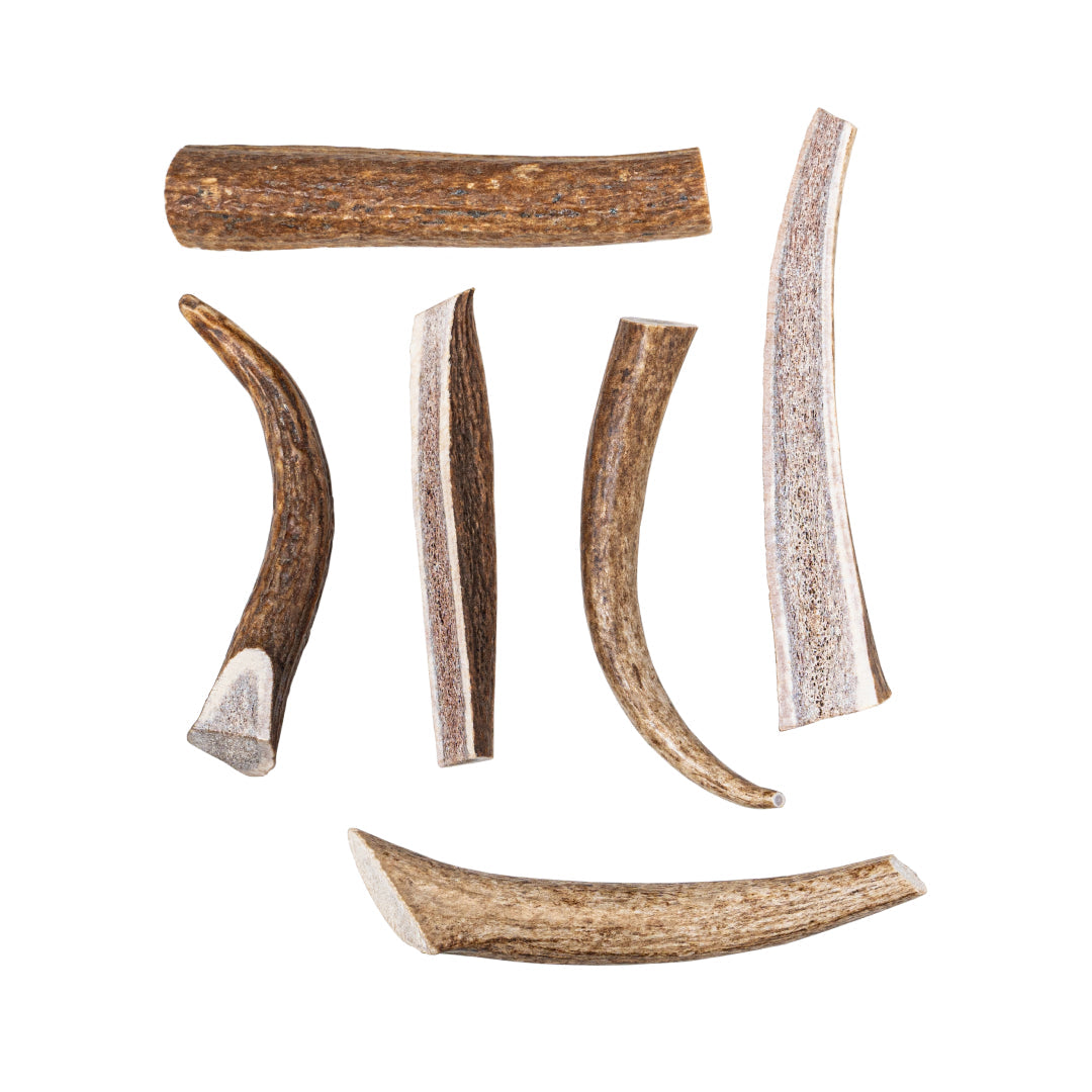 Mixed Antler Dog Chew Pack Default Title