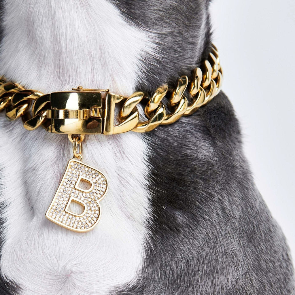 Dog Collar Pendant Letter B