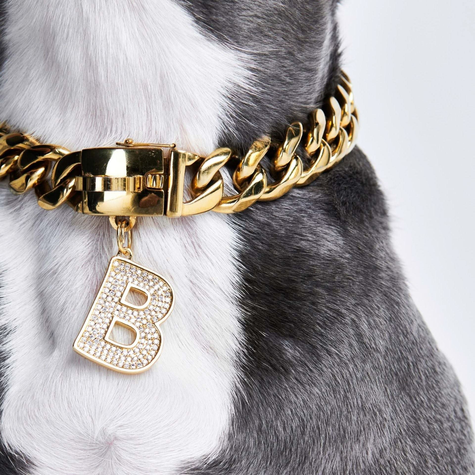 Dog Collar Pendant product image 1