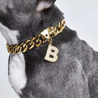 Dog Collar Pendant product image 3