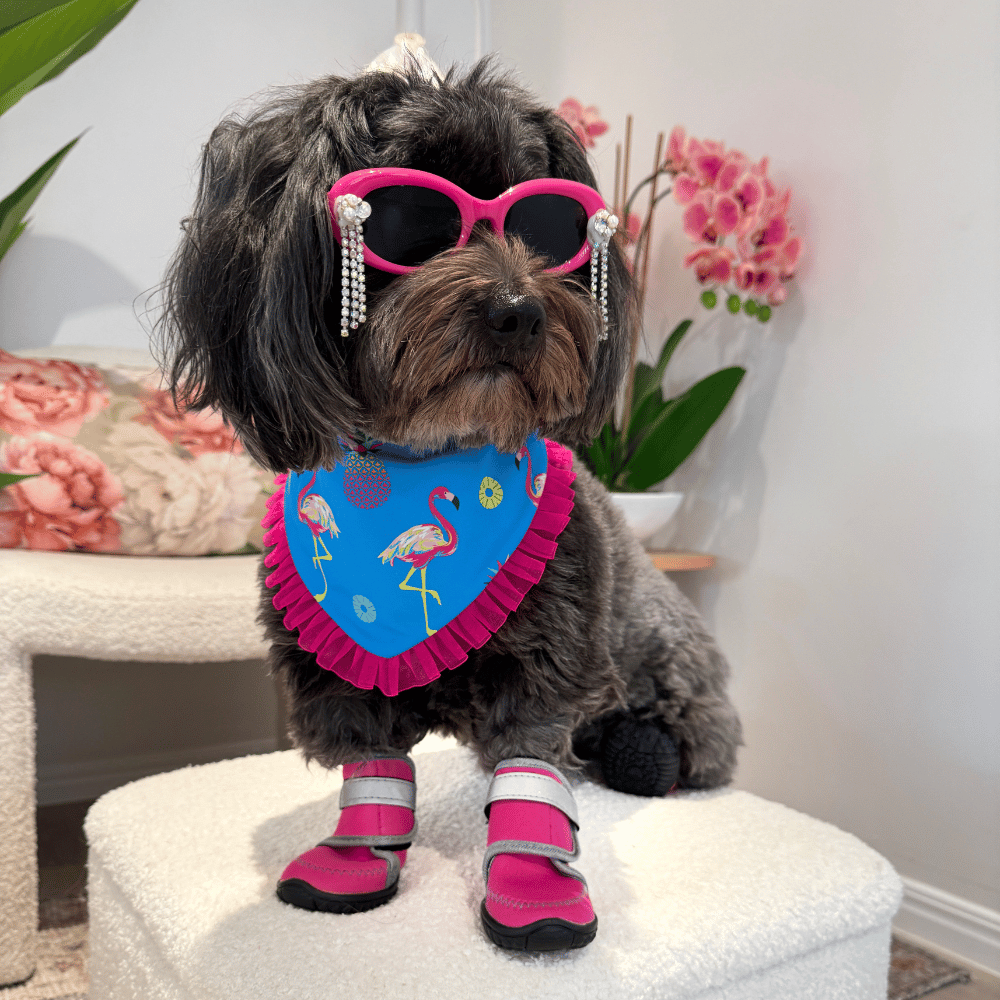 Dog Shoes product image 2