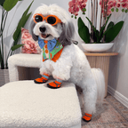 Dog Shoes product image 3