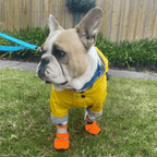 Dog Shoes product image 5