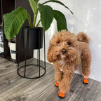 Dog Shoes product image 10
