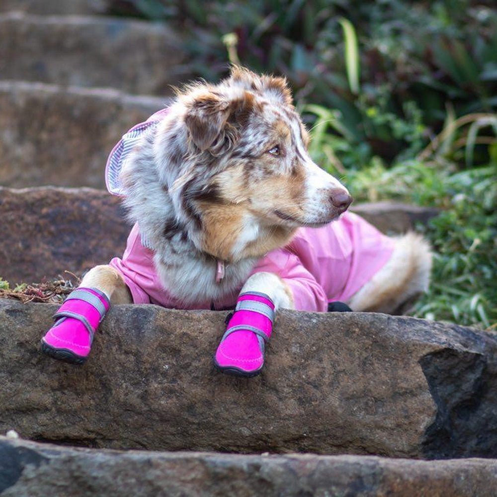 Dog Shoes product image 12