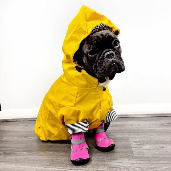Dog Shoes product image 13