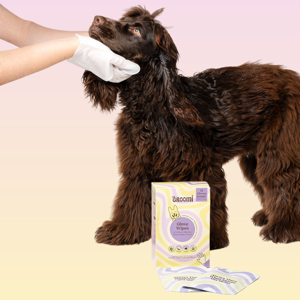 Full-Body Pet Glove Wipes product image 2