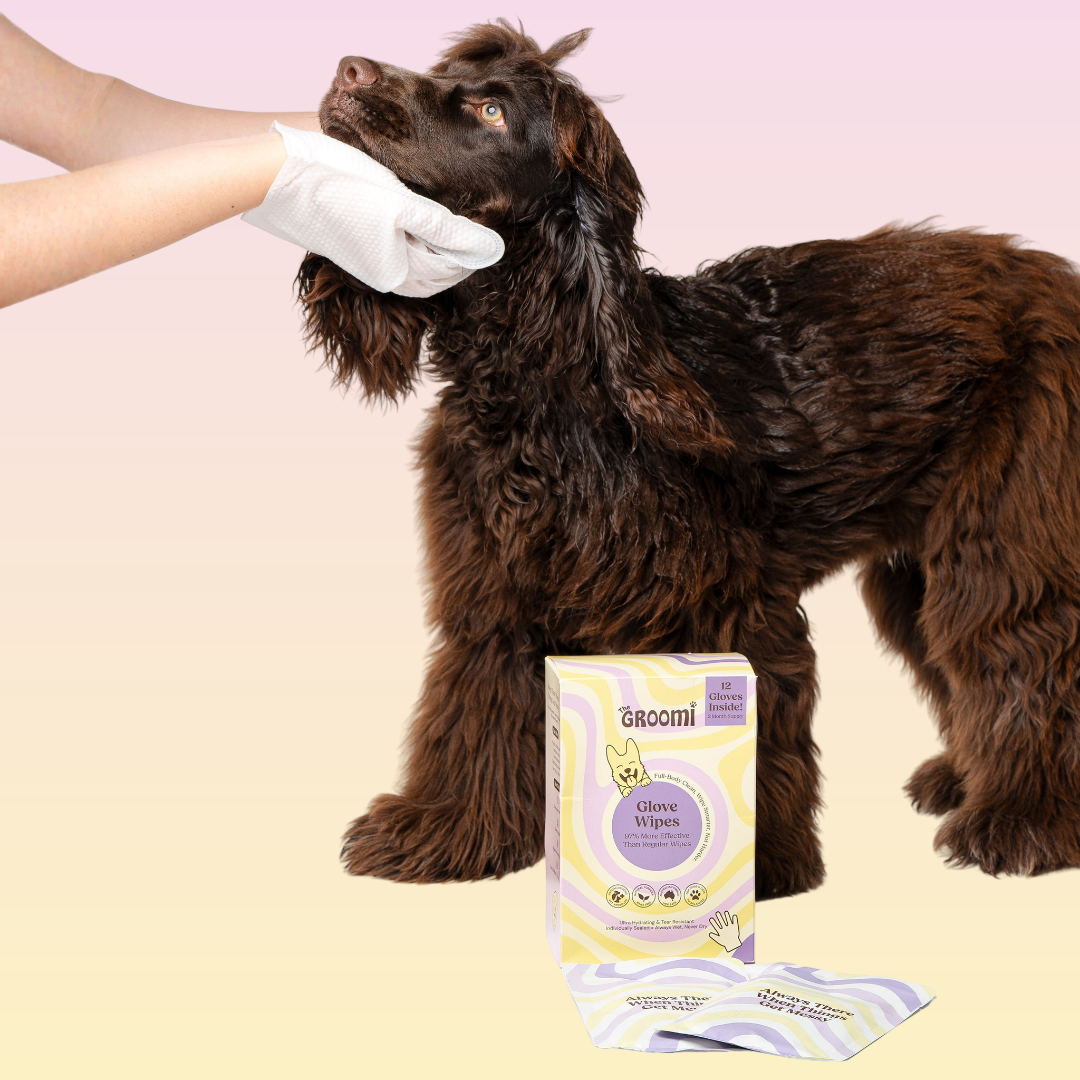 Full-Body Pet Glove Wipes product image 2