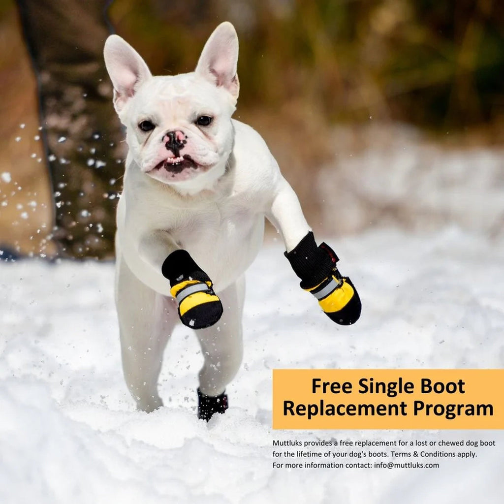 Dog Boots product image 3