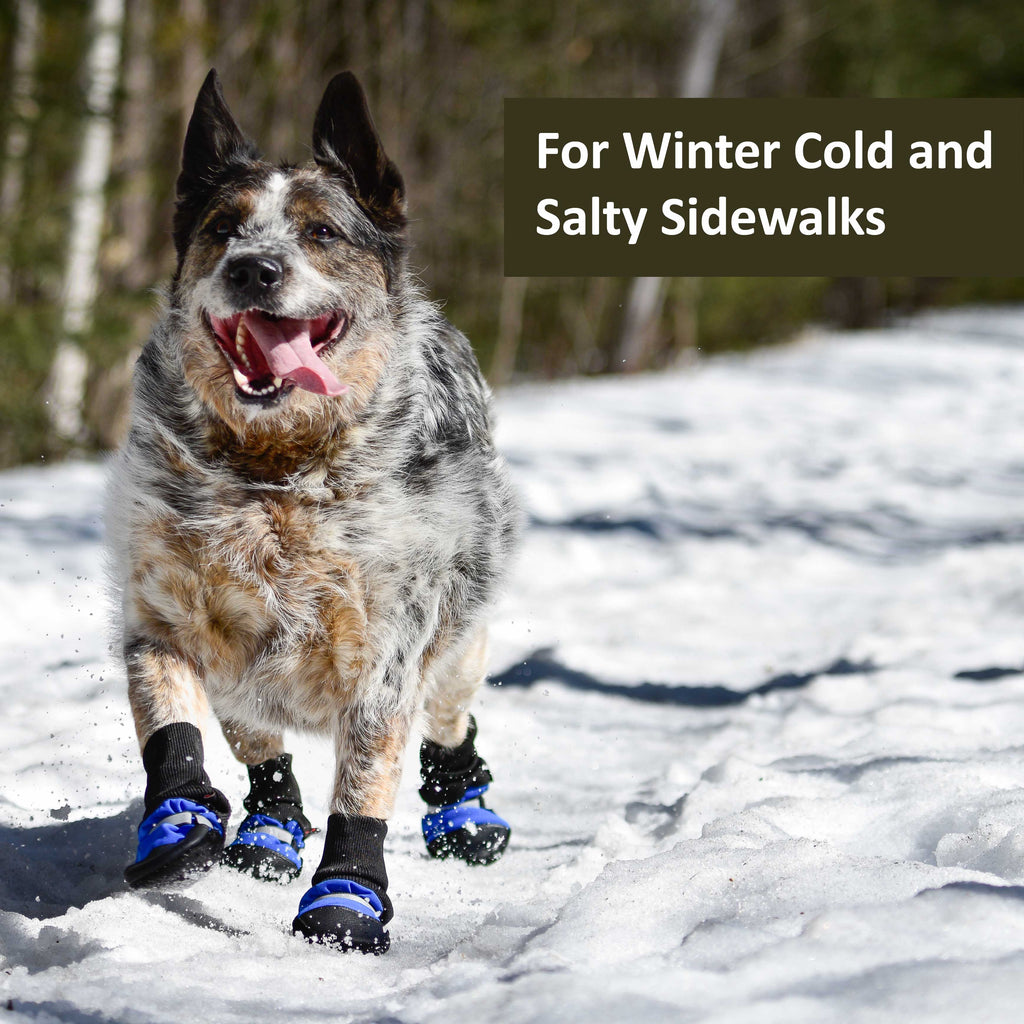 Dog Boots product image 4