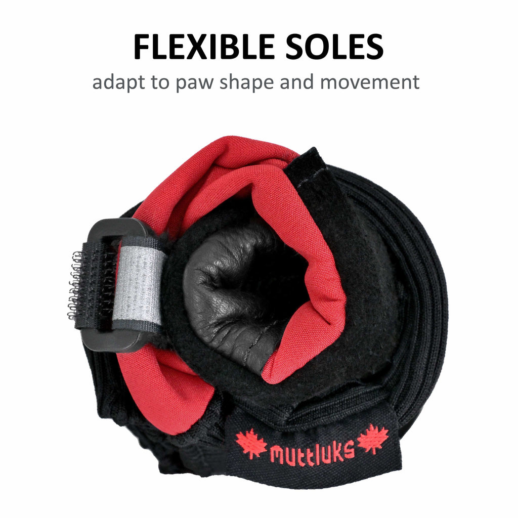 Dog Boots product image 6