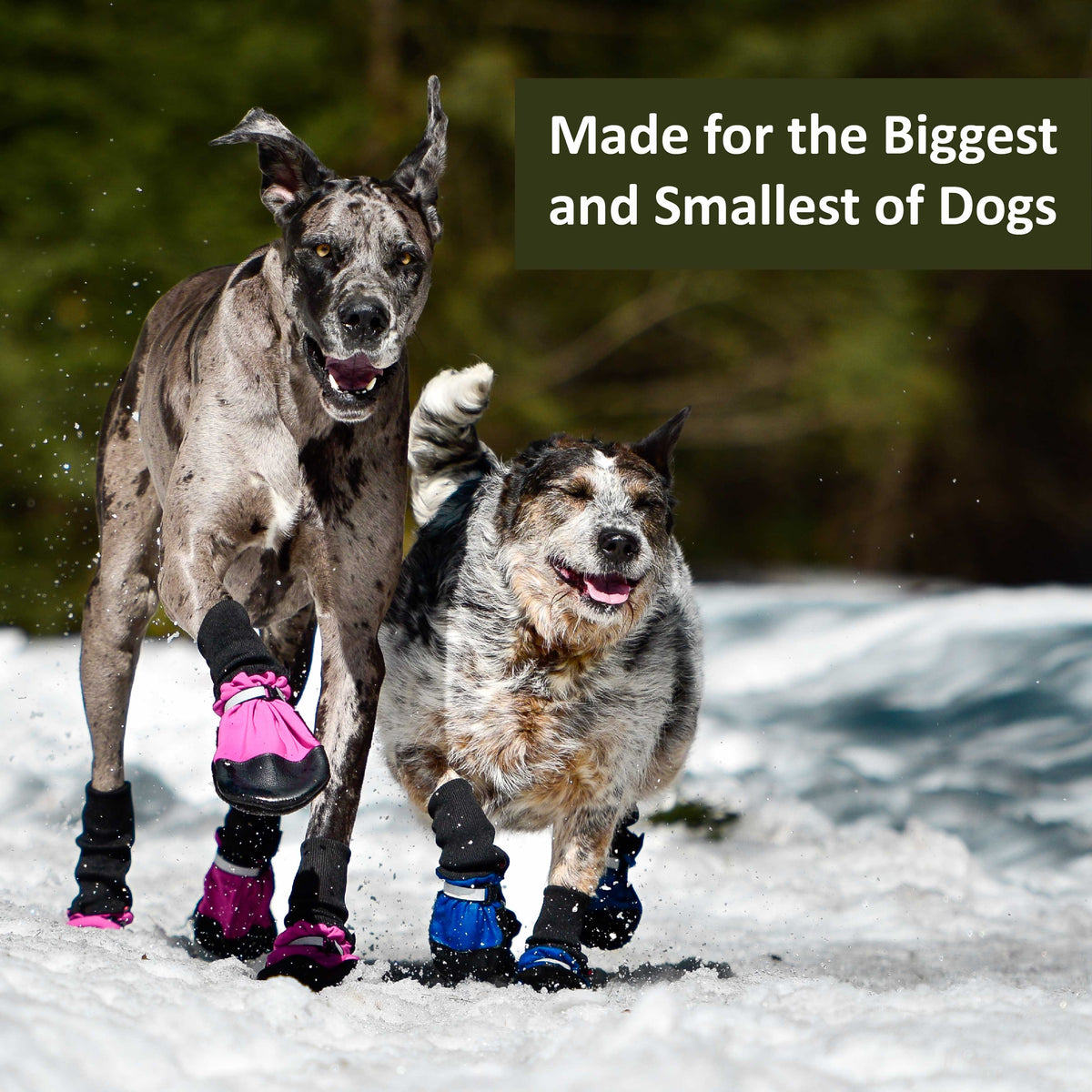 Dog Boots product image 8