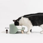 Double Cat Bowl product image 10