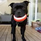 Dog Chew Toy product image 2