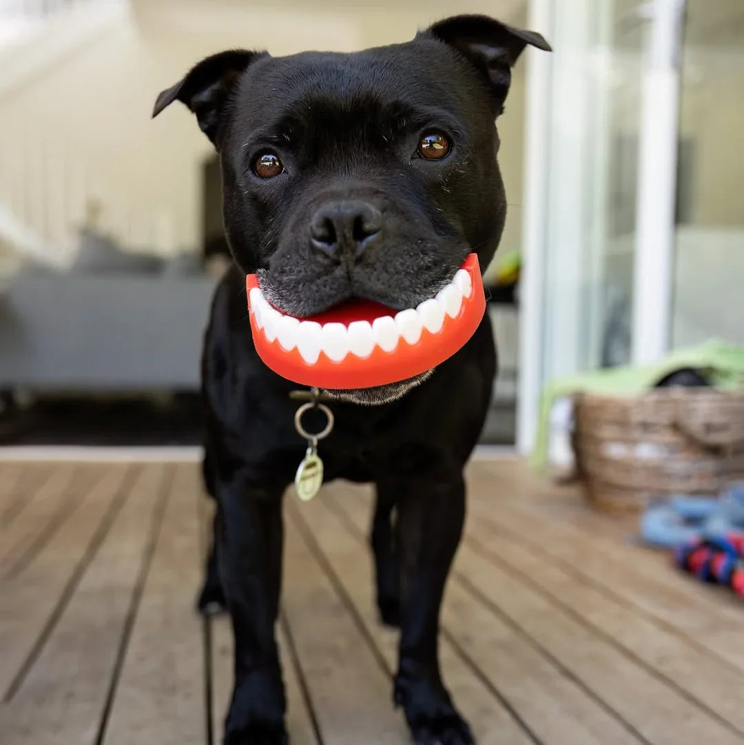Dog Chew Toy product image 2