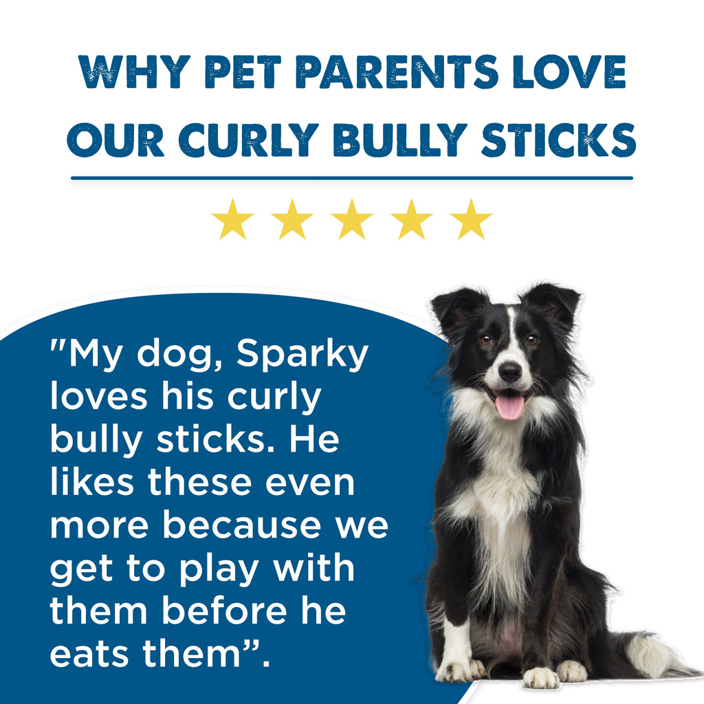 Bully Sticks product image 7