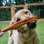 Bully Sticks product image 3