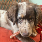 Bully Sticks product image 4