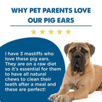 A large mastiff lies beside a five-star review of Best Bully Sticks Pig Ear Dog Treat (25 Pack) as natural, high-protein chews for dogs on raw diets, set against a blue and white background—perfect for healthy snacking.
