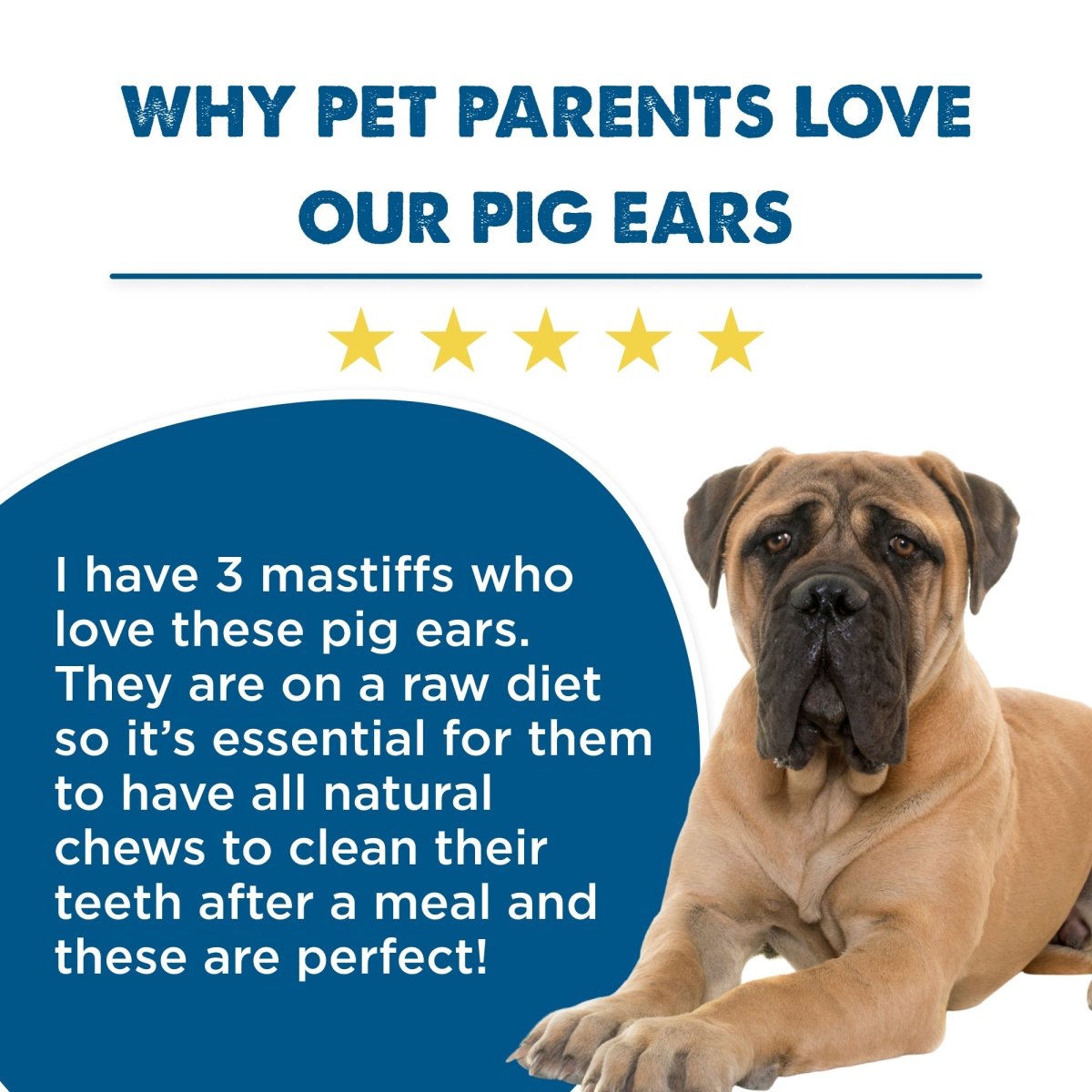 A large mastiff lies beside a five-star review of Best Bully Sticks Pig Ear Dog Treat (25 Pack) as natural, high-protein chews for dogs on raw diets, set against a blue and white background—perfect for healthy snacking.