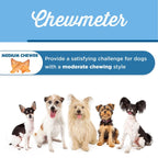 Five small to medium-sized dogs sit beneath a sign for "Medium Chewer" treats, like Best Bully Sticks Pig Ear Dog Treat (25 Pack), ideal for pups with moderate chewing styles.