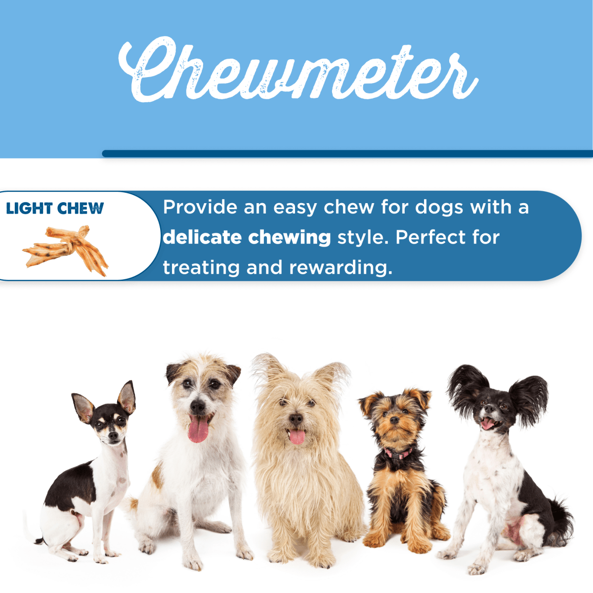 Five small dogs sit in a row beneath a “Chewmeter” sign, with text describing Best Bully Sticks Duck Feet Dog Treats (25 Pack) as light dental treats for pups with a delicate chewing style.