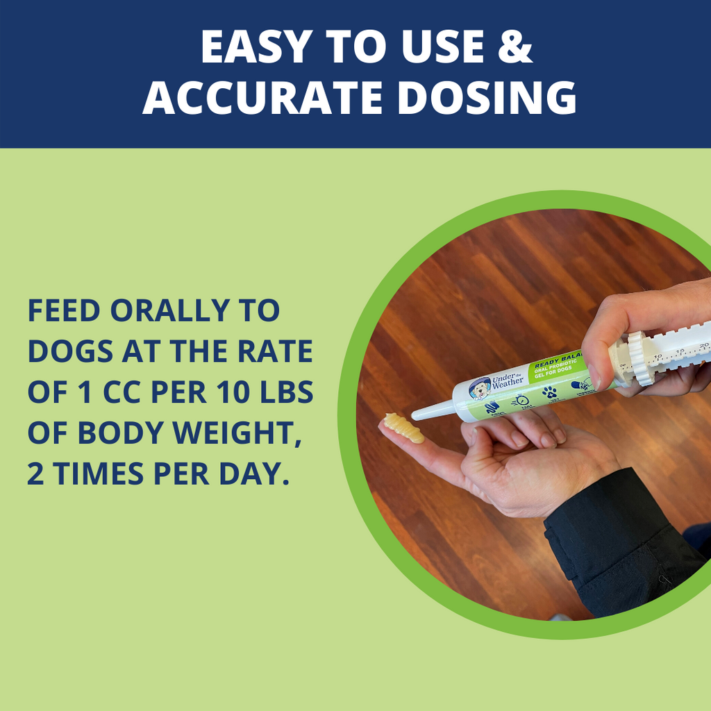 Dog Probiotic Gel product image 4