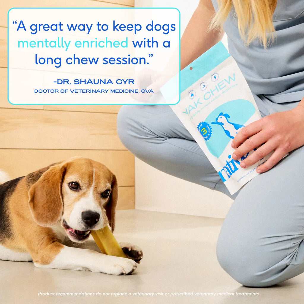 Native Pet Yak Chews for Dogs - Expert Testimonial