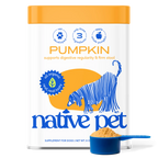 PUMPKIN product image 1