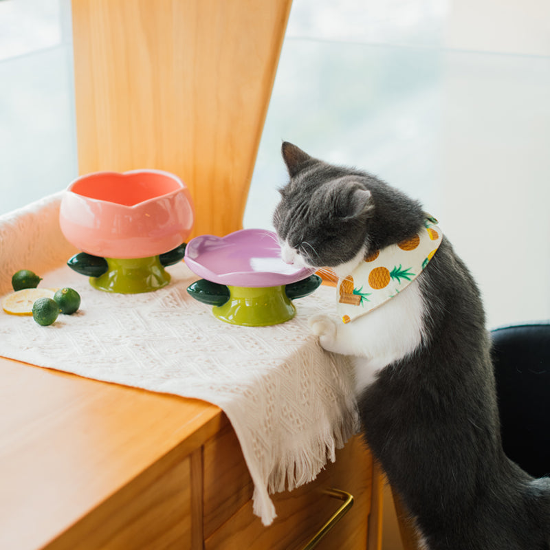 Elevated Cat Bowl product image 2