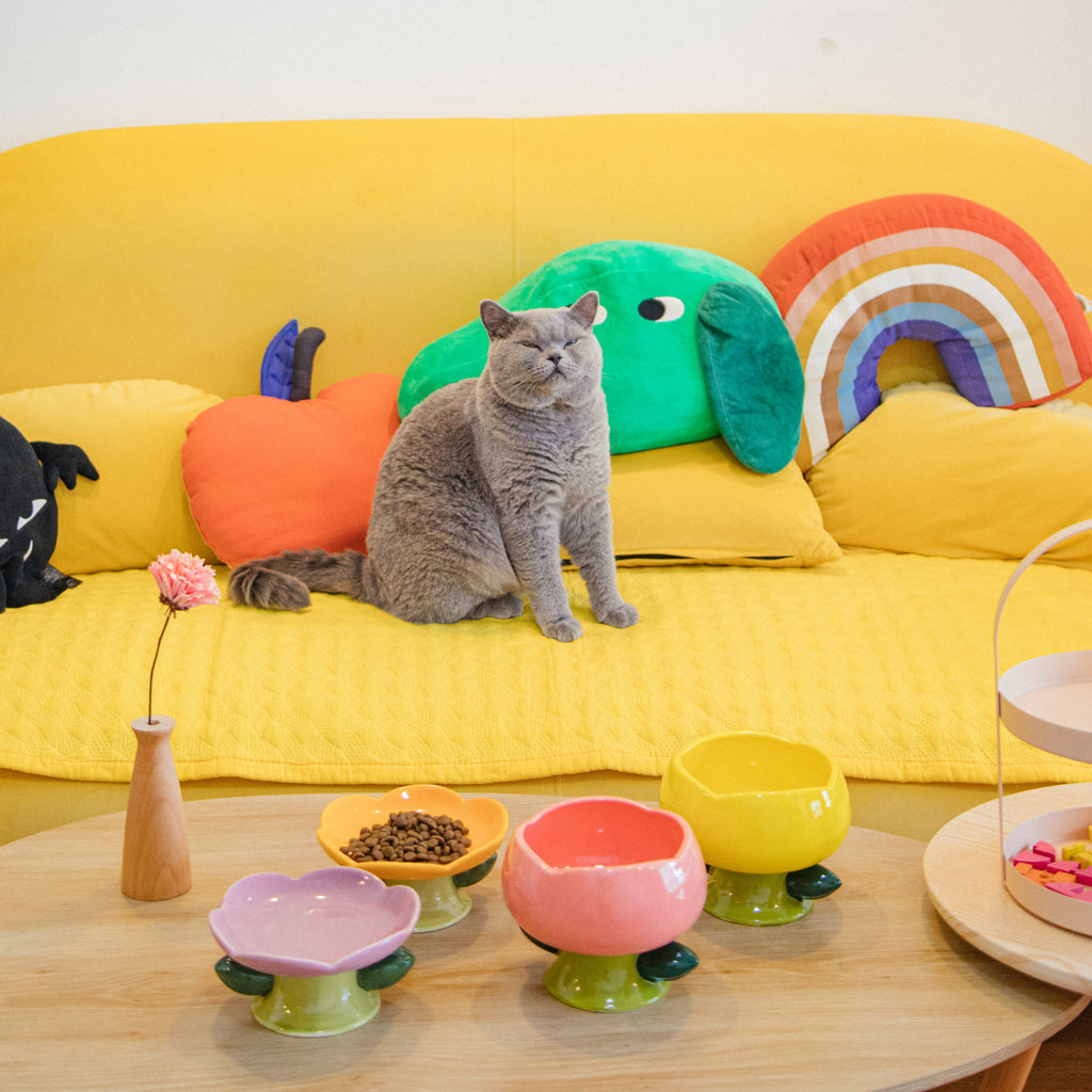 Elevated Cat Bowl product image 5