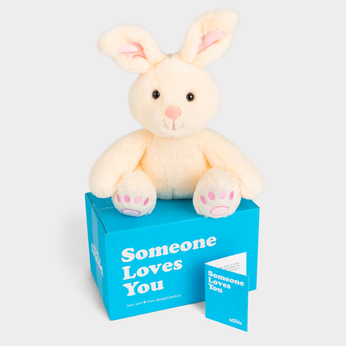 Bunny Plush Gift product image 1
