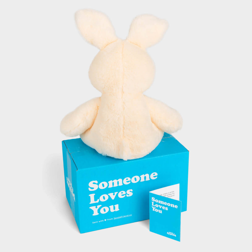 Bunny Plush Gift product image 2