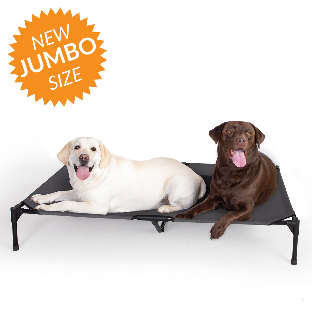 Pet Cot product image 2