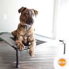 Pet Cot product image 14