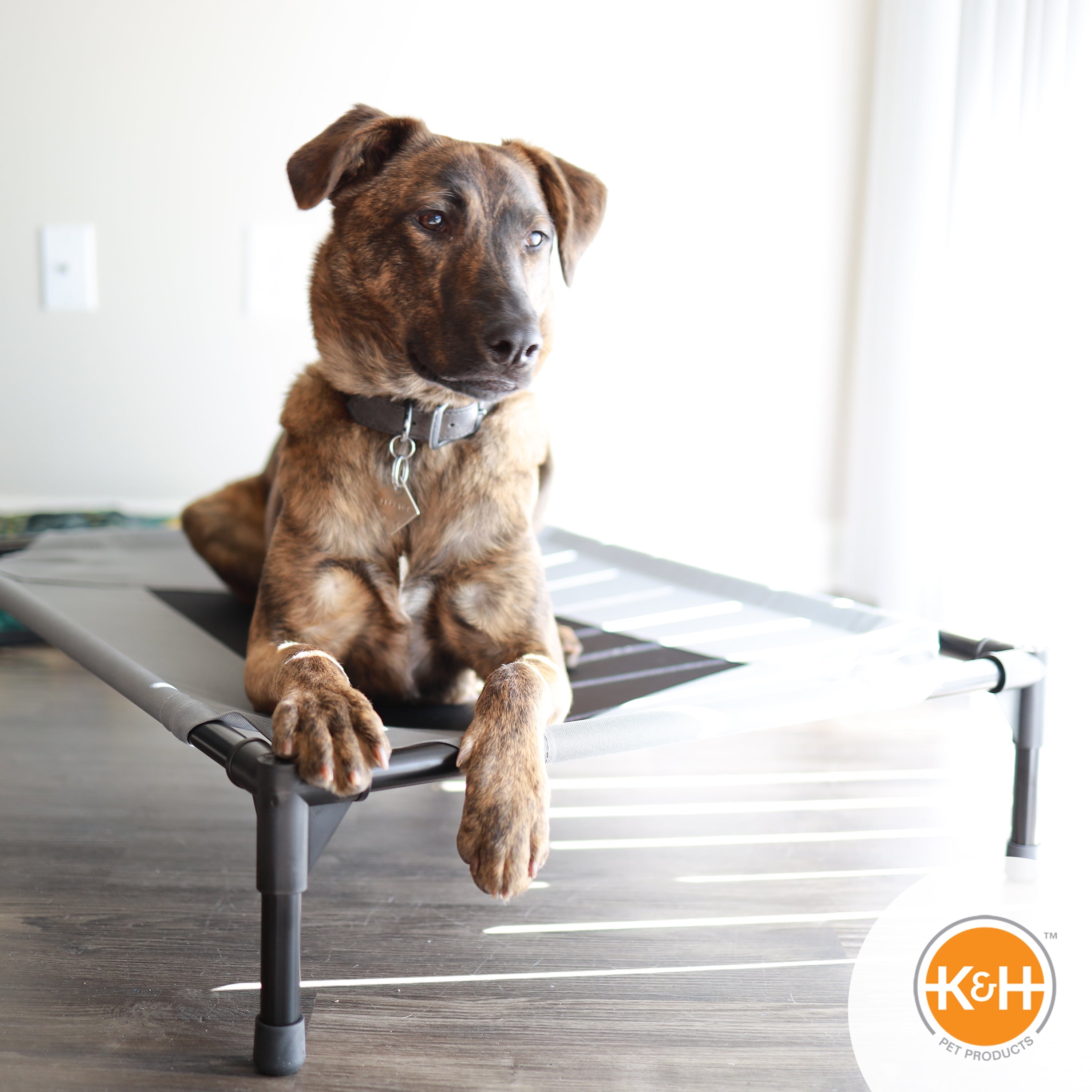 Pet Cot product image 14