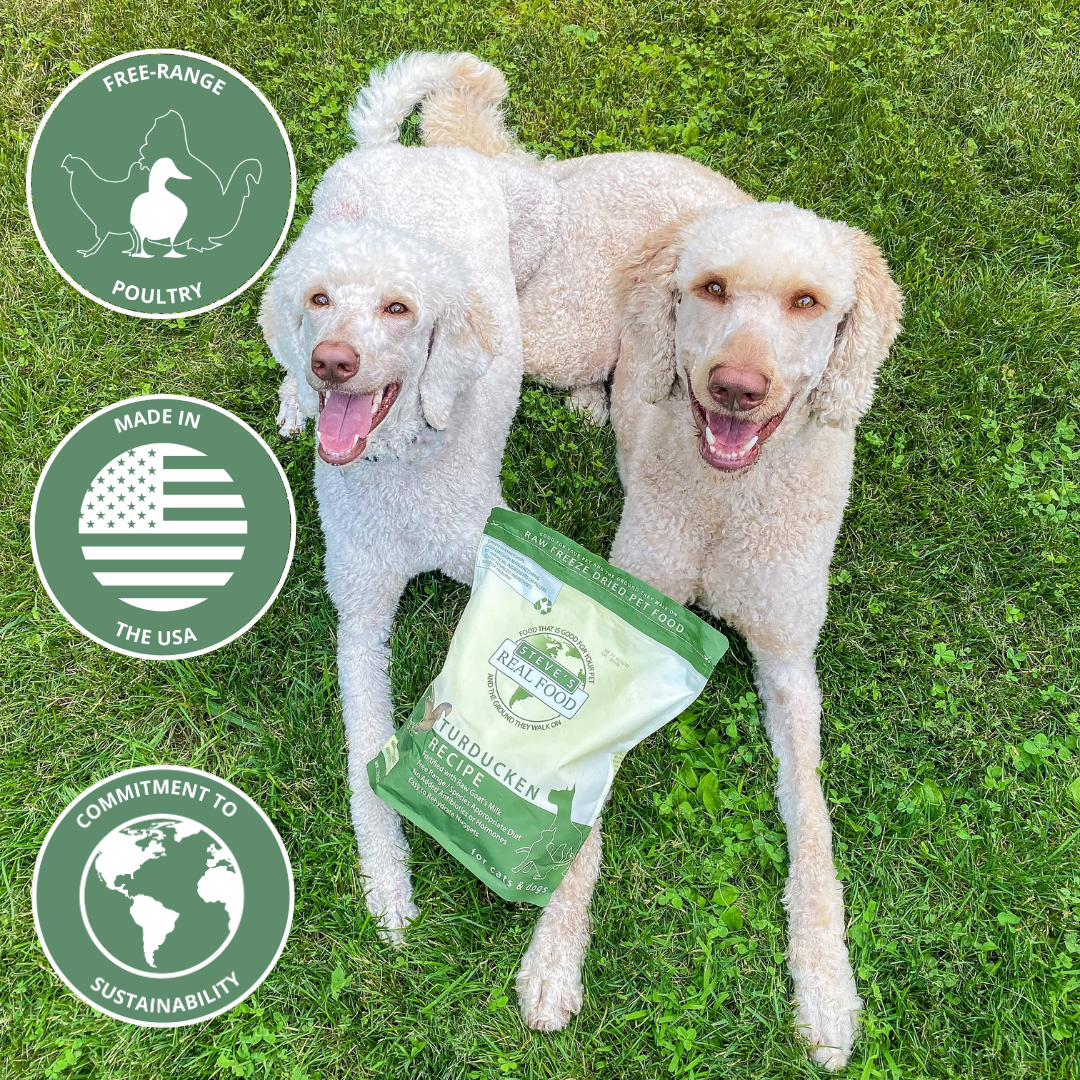 Freeze-Dried Raw Dog Food product image 3