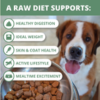 Freeze-Dried Raw Dog Food product image 4