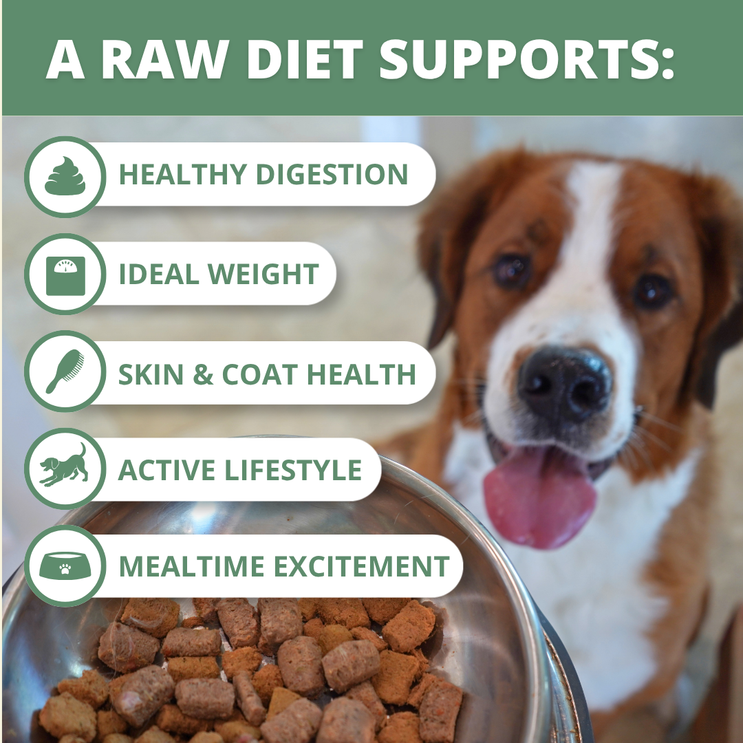 Freeze-Dried Raw Dog Food product image 4