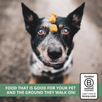 Freeze-Dried Raw Dog Food product image 6
