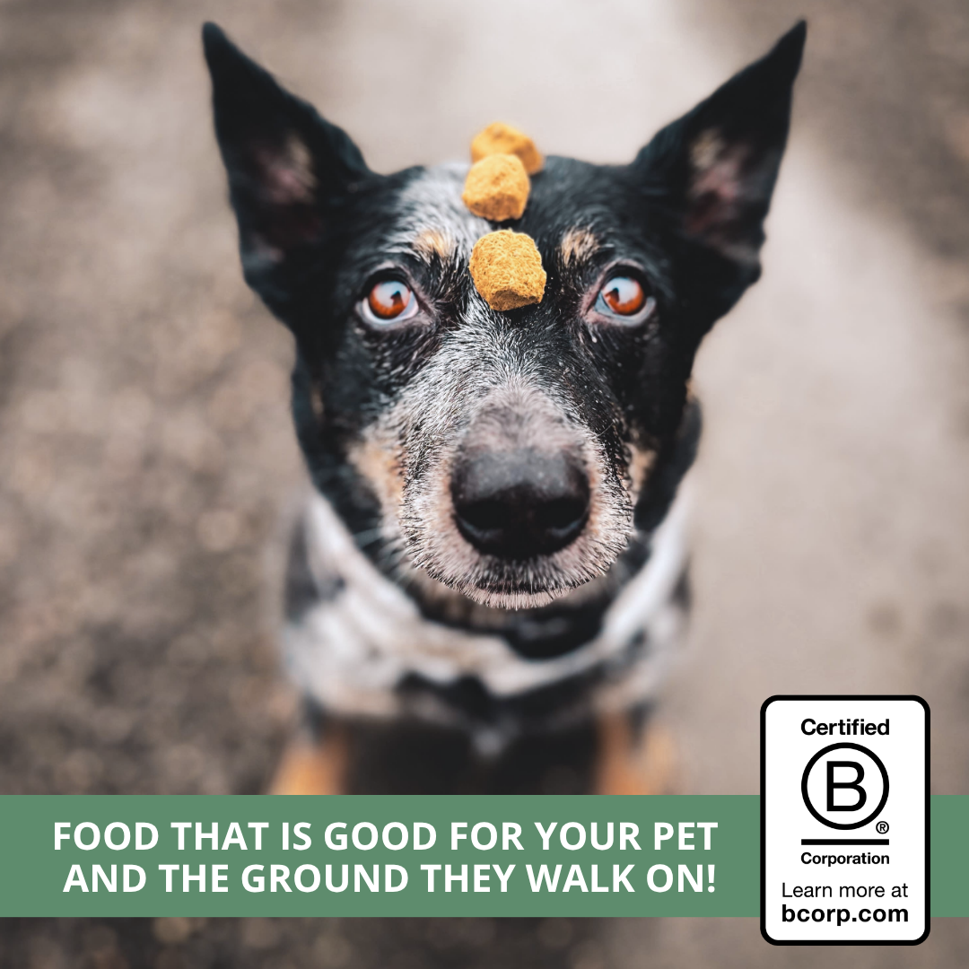Freeze-Dried Raw Dog Food product image 6