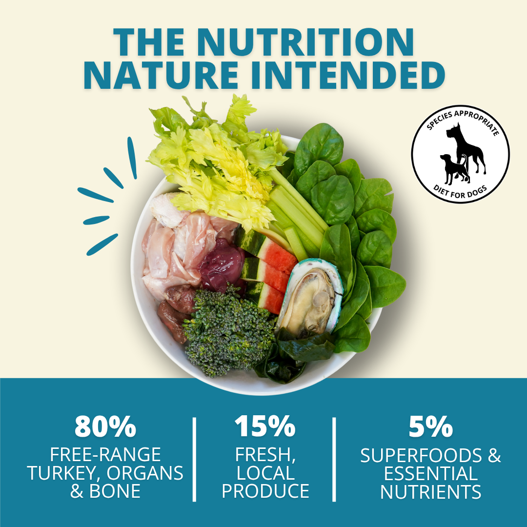 Freeze-Dried Dog Food product image 2