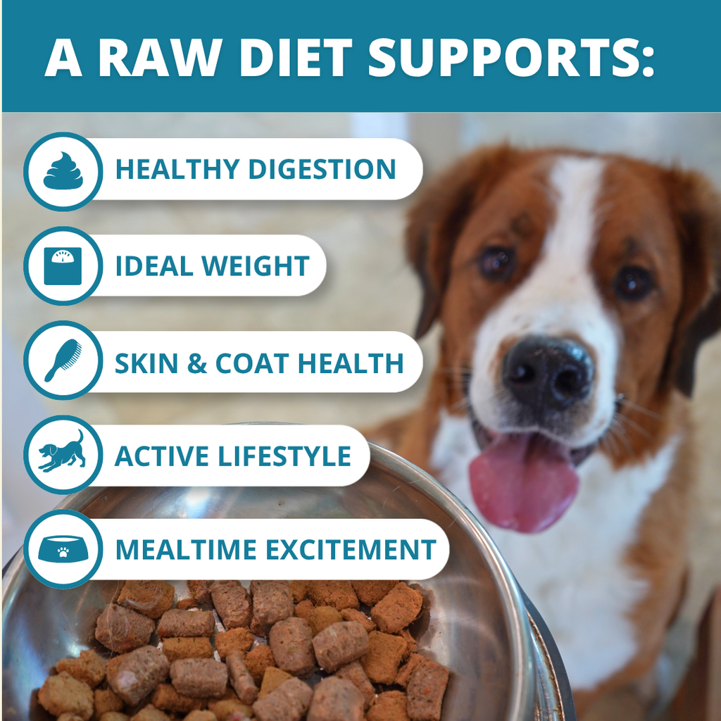 Freeze-Dried Dog Food product image 4