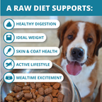 Freeze-Dried Dog Food product image 4