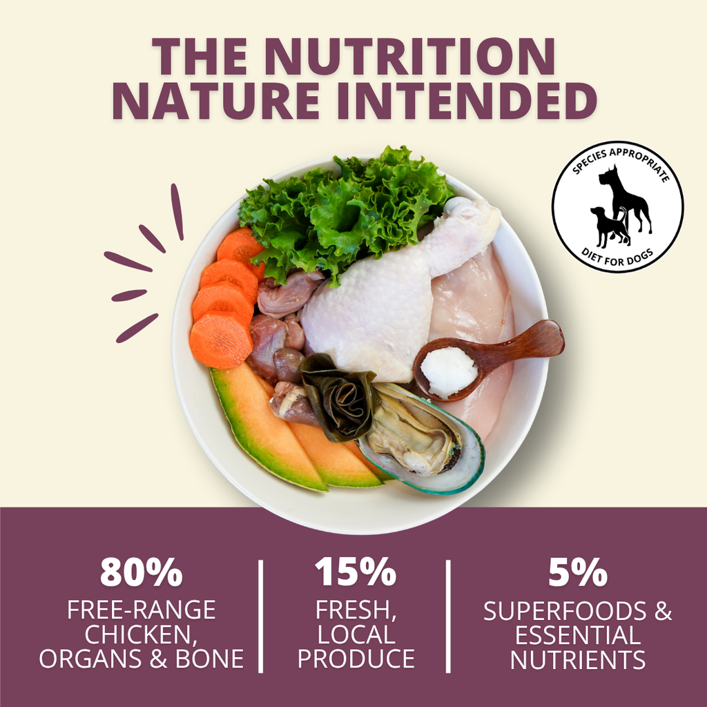 Freeze-Dried Dog Food product image 2