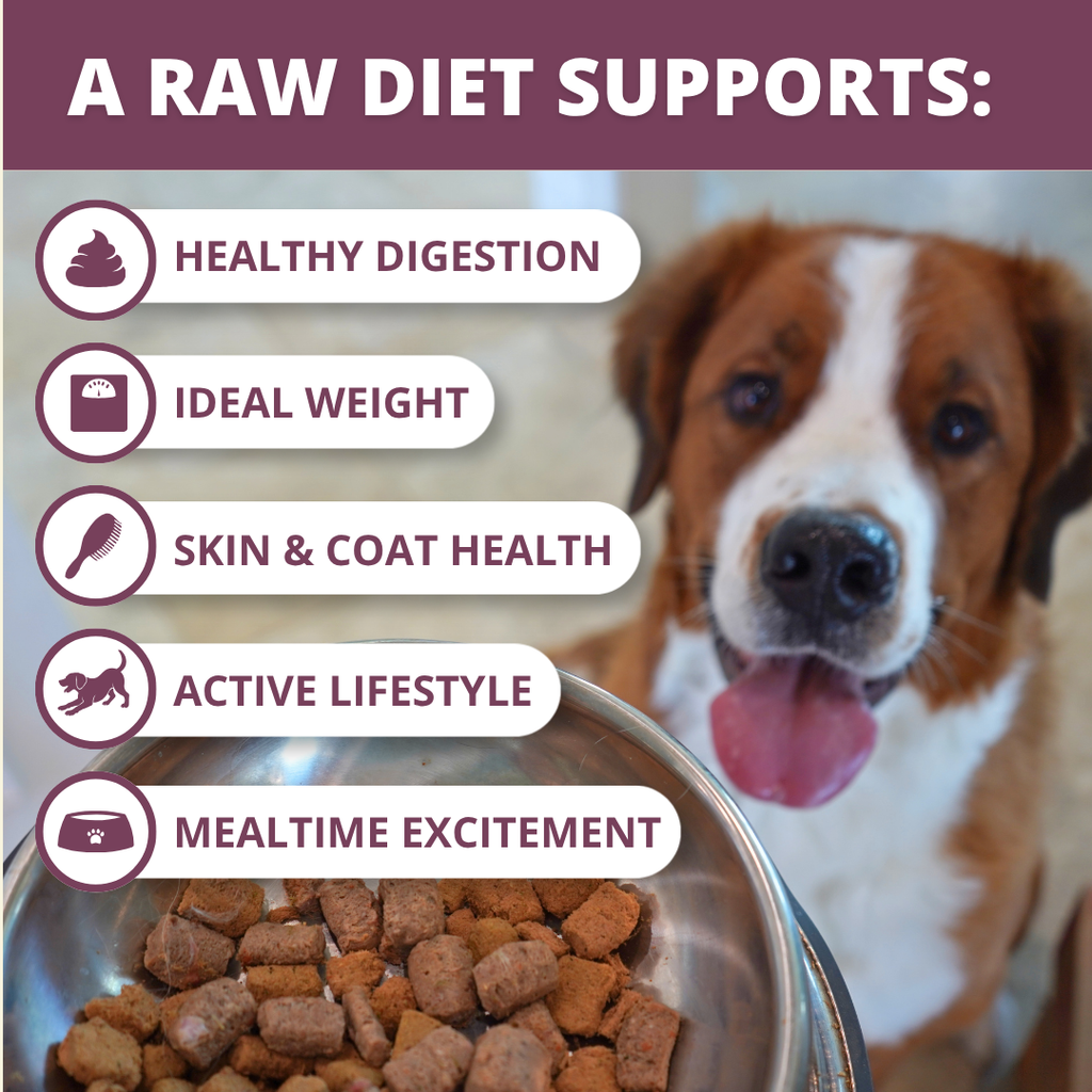 Freeze-Dried Dog Food product image 4
