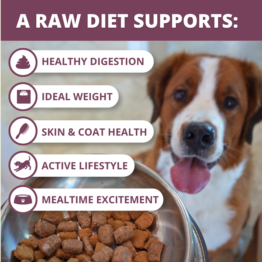 Freeze-Dried Dog Food product image 4