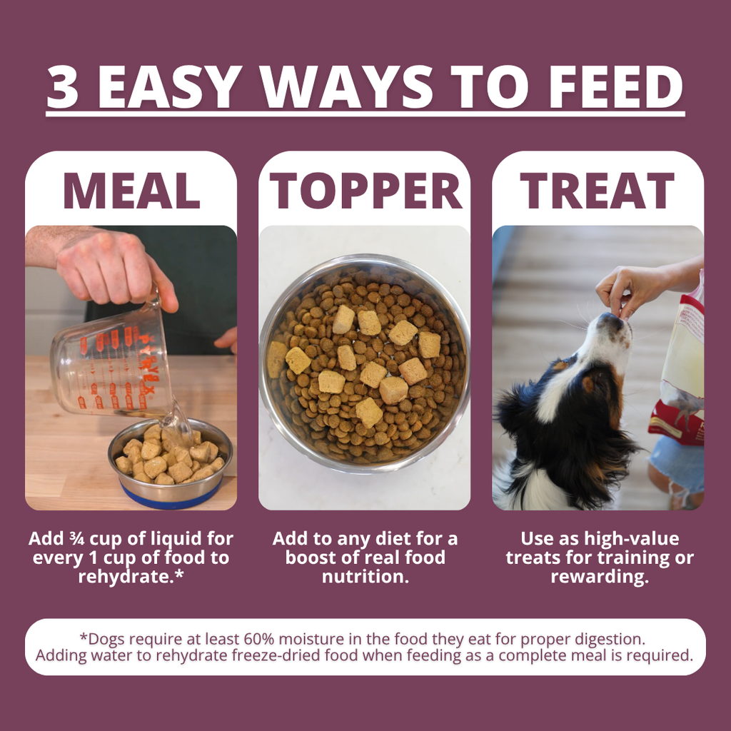 Freeze-Dried Dog Food product image 5