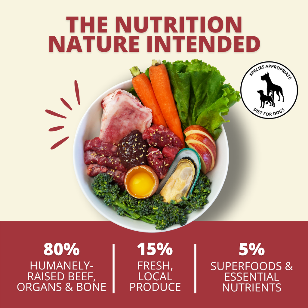 Freeze-Dried Raw Beef Dog Food Nuggets product image 2