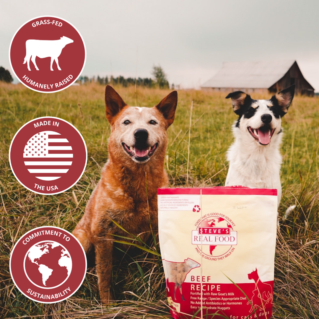 Freeze-Dried Raw Beef Dog Food Nuggets product image 3